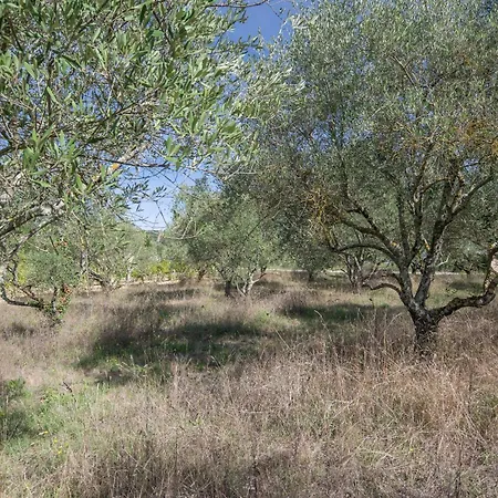2 - Les Oliviers Casa rural